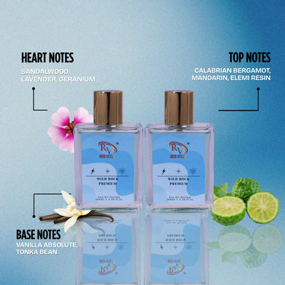Wild Rock Premium Perfume spray 100mlx2 | Perfume Combo | Long Lasting Fragrance for Men